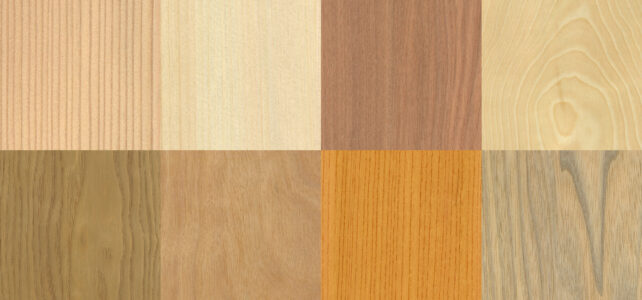 きのわの「木の話」